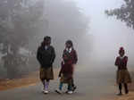 North India under grip of cold wave