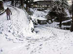 Skiers on slopes of Manali