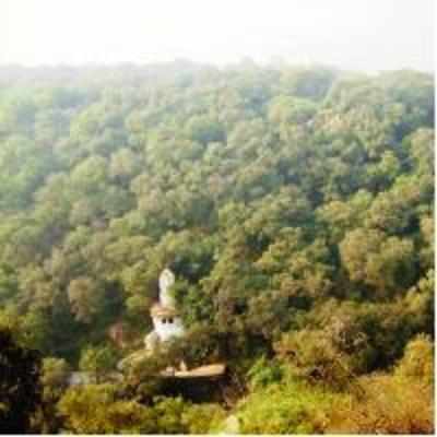 How private players grabbed forest land in the Aravalis