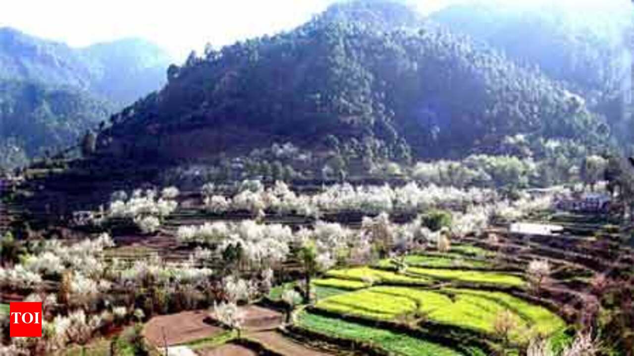 Destination review: Solan, Himachal Pradesh - Times of India