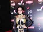 19th Annual Screen Awards 2013