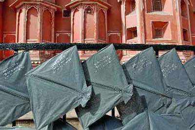 Black kites to dot Jaipur skyline on Makar Sankranti