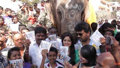 Elephant at Aane Pataki audio launch
