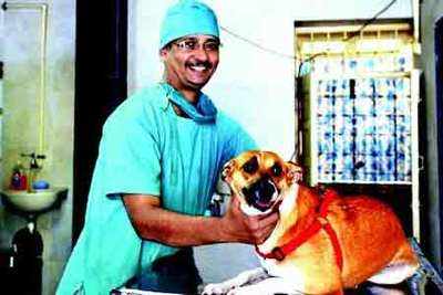 Tyagi best sale dog hospital