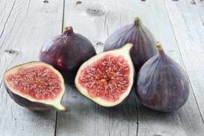 Why figs are good for you