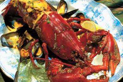 Tips and tricks to cook a lobster!