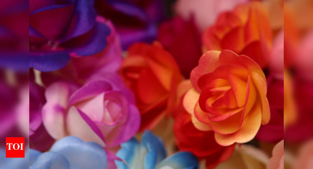 Say it with the right rose - The Times of India