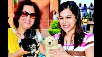 Cutest pets on display this weekend at an event organized by TOI and Lucknow Kennel Club