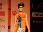 LFW'13: Day 6: Save Our Tigers