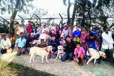Rise in furry members at Pune’s first dog park