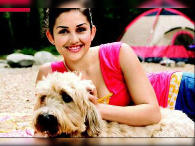 Holiday plans? Leave your pet in a creche! - Times of India