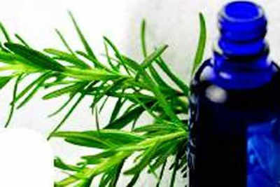 Rosemary for your skin