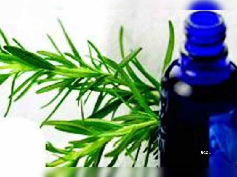 Rosemary for your skin Times of India