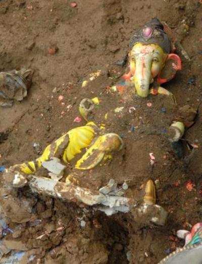 Even NMC officials want total ban on plaster of paris idols