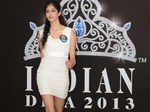 Indian Diva 2013 auditions