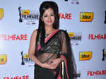 60th Idea Filmfare Awards 2012(South): Red Carpet