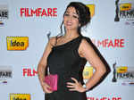 60th Idea Filmfare Awards 2012(South): Red Carpet