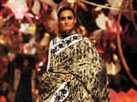 IBFW 2013: Day 4: Rohit Bal