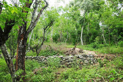 MP Villagers declare mining will not be allowed in forests