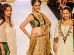 IIJW'13: Dipti Amisha