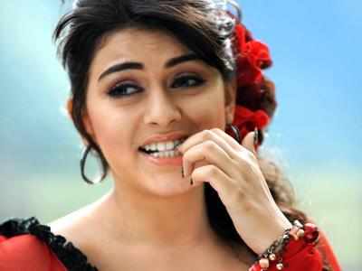 Is love affecting Hansika's career? | Kannada Movie News - Times of India
