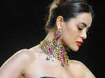 IIJW'13: D.Navinchadra