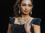 IIJW'13: D.Navinchadra