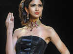 IIJW'13: D.Navinchadra