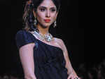 IIJW'13: D.Navinchadra