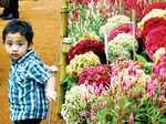 Lalbagh Flower Show