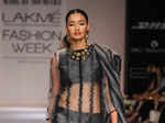 LFW'13: Soumitra Mondal