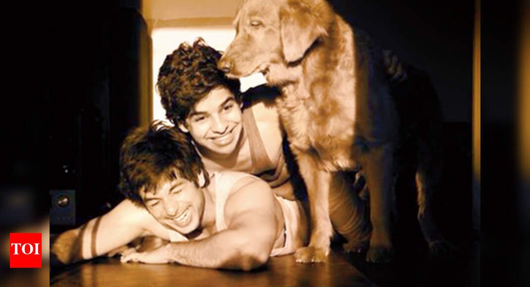 Shahid's younger brother to follow in his footsteps? | Hindi Movie News ...