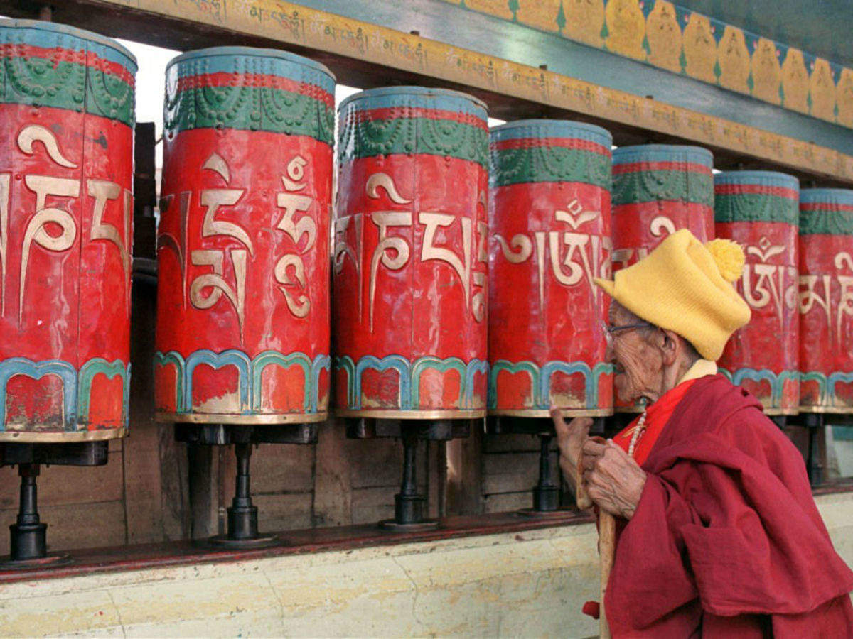 famous-food-in-mcleodganj-mcleodganj-food-for-body-and-soul-times