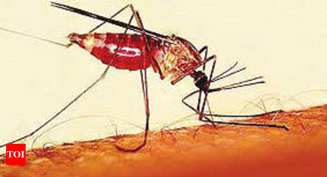 A malaria vaccine in 2 years - Times of India