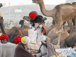 Annual Cattle Fair in Pushkar