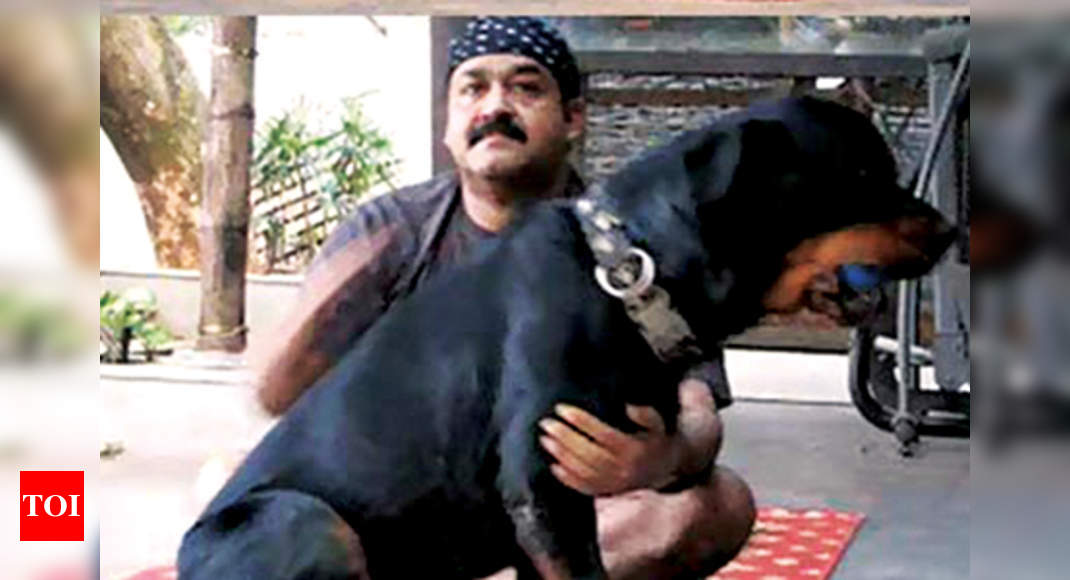 Malayalam celebrities are animal lovers | Malayalam Movie News - Times of  India