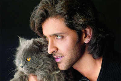 Cats are happy just being on their own: Hrithik Roshan