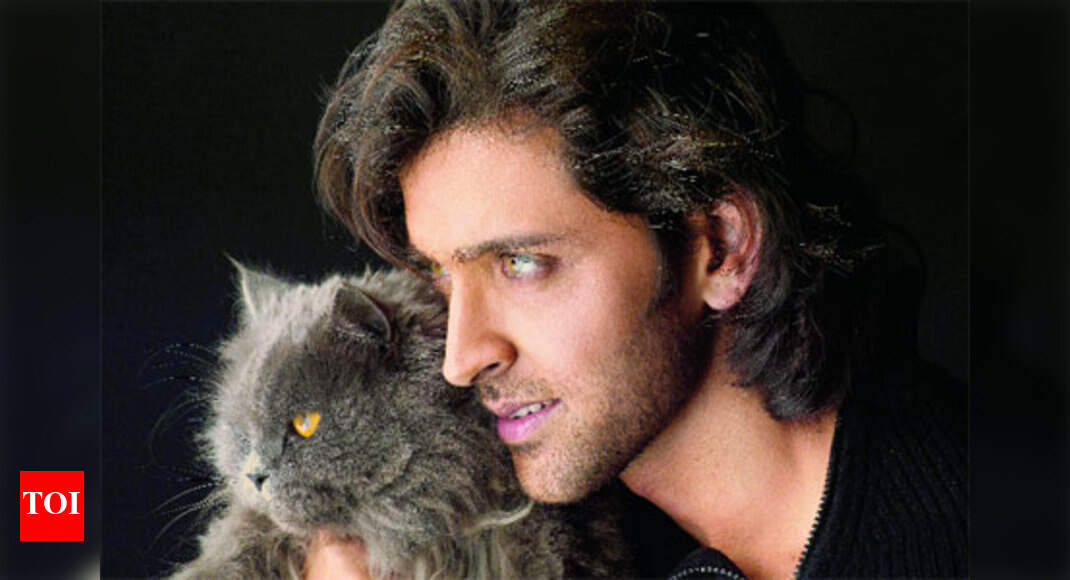 Cats are happy just being on their own: Hrithik Roshan - Times of India