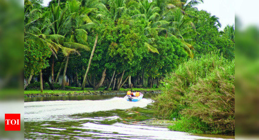 Kerala A Vacation In Paradise Times Of India