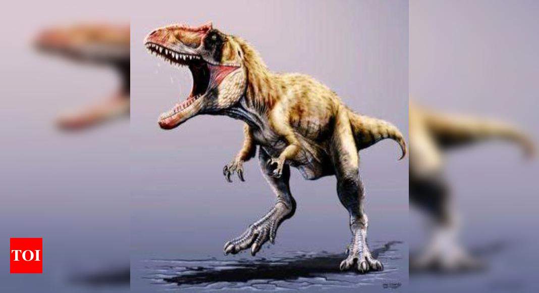 T Rex: New giant dinosaur species discovered - Times of India
