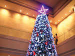 Christmas tree lighting ceremony