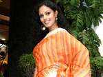 Ethnic saris