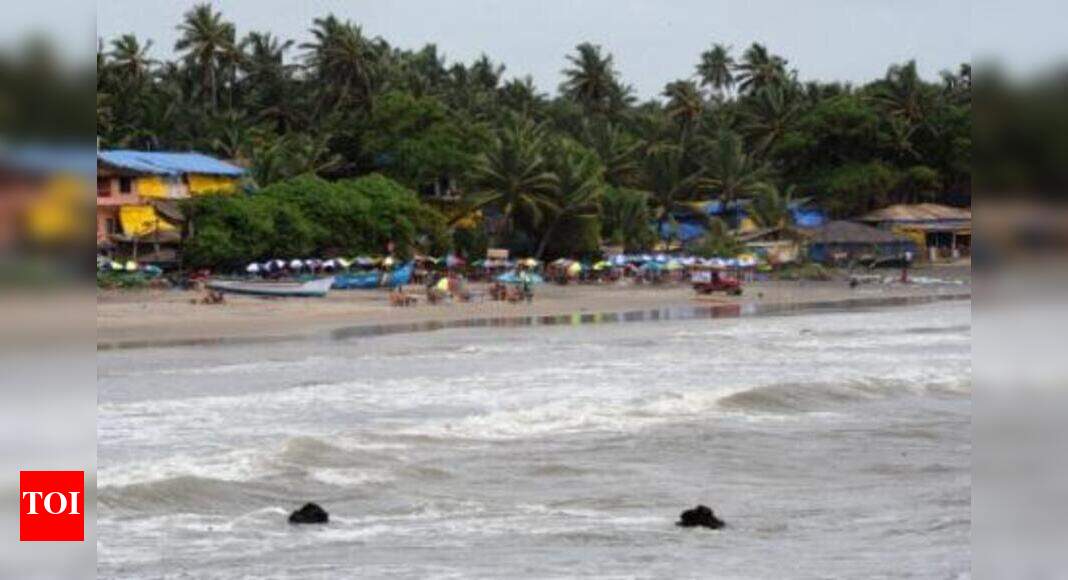 Mumbai agency to clean up Goa's beaches - Times of India