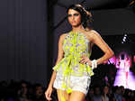 IRFW'13: Surily Goel