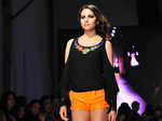 IRFW'13: Surily Goel