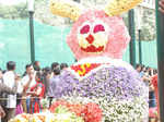 65th Annual Republic Day flower show