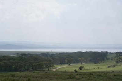 Lake Nakuru: The wet patch on Kenya