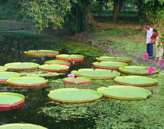 10 places that define Kolkata