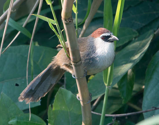 Dudhwa National Park in Uttar Pradesh | Times of India Travel