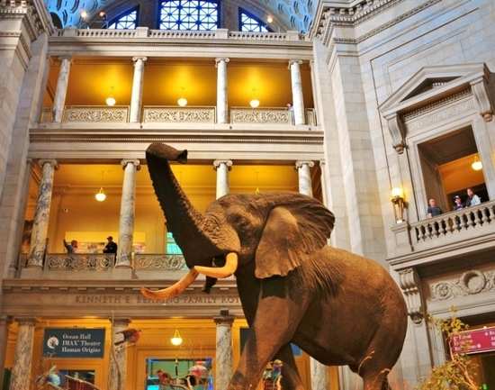 Top 5 Museums In World | 5 Museums You Must Visit To Get Your Culture ...